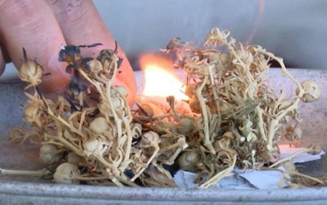 uzerlikden-istifade-mehdudlasdirila-biler