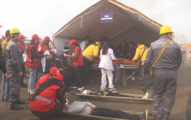 fhn-telim-teskil-etdi