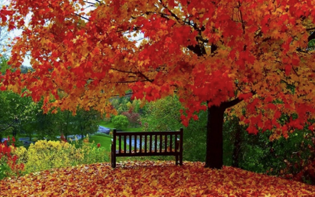 sabah-hava-nece-olacaq