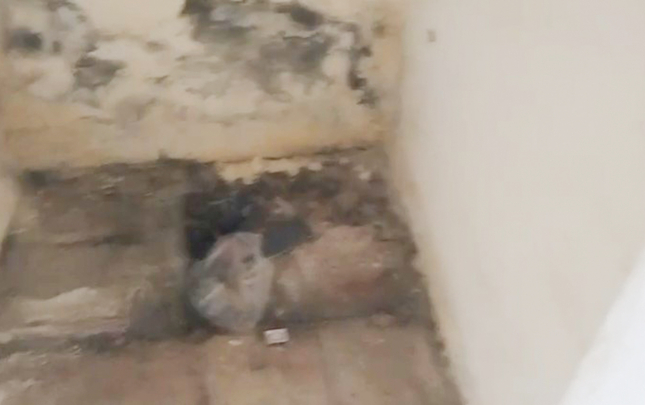 yevlax-stadionunda-biabirci-veziyyet