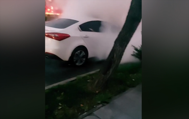 bakida-avtomobil-yandi