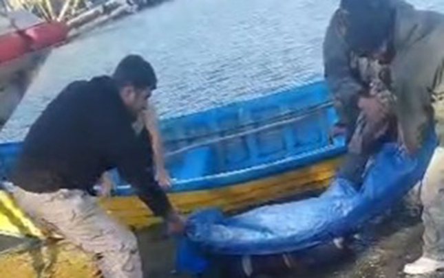 ikinci-baliqcinin-meyiti-iranda-tapildi
