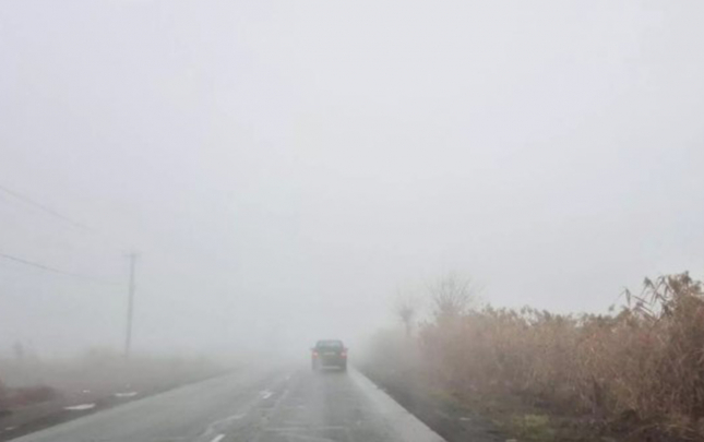 suruculerin-nezerine