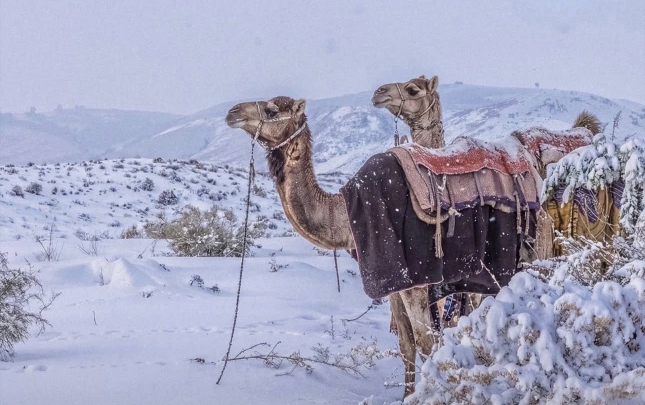 sehrada-30-ilden-sonra-ilk-qar