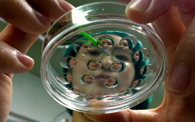 insanin-klonlasdirilmasi-usullari-patent-obyektleri-kimi-qebul-edilmeyecek