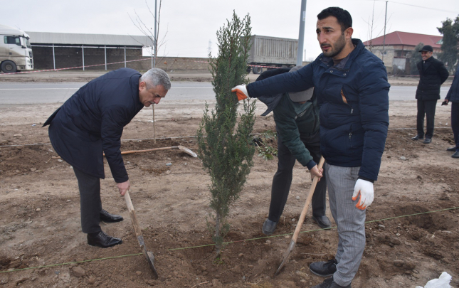 imislide-prezident-ilham-eliyevin-dogum-gununde-agacekme-aksiyasi-kecirildi