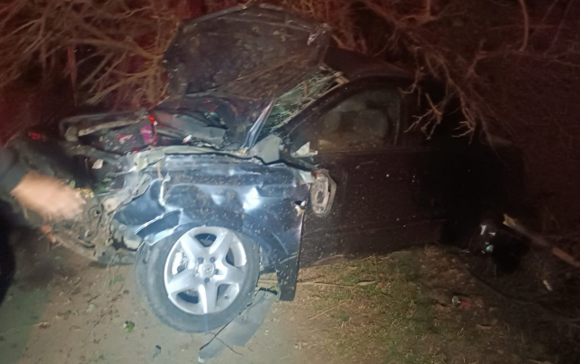 opel-agaca-cirpilib-arxa-dusdu