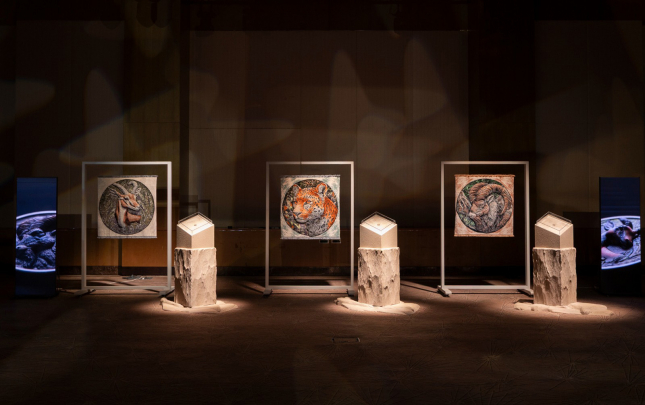 nadir-fauna-novleri-adli-yeni-nesil-sikke-ve-xalca-kolleksiyalarinin-teqdimati