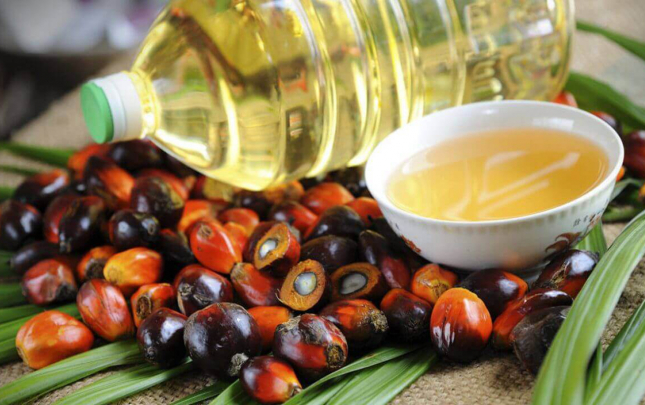 her-bir-azerbaycan-vetendasina-ilde-5-kq-palma-yagi-yedizdirilir