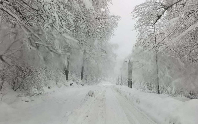 bu-qar-bir-basqa-qardir