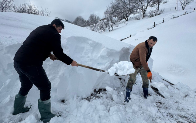 olsek-hec-kimin-xeberi-olmayacaq