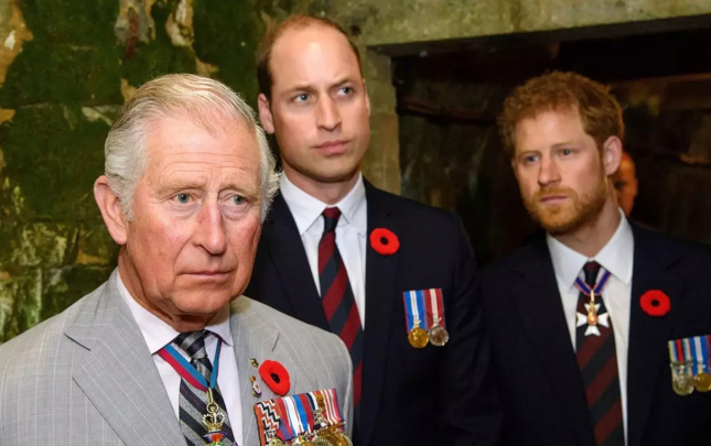 harri-geldi-onlar-sefere-getdi