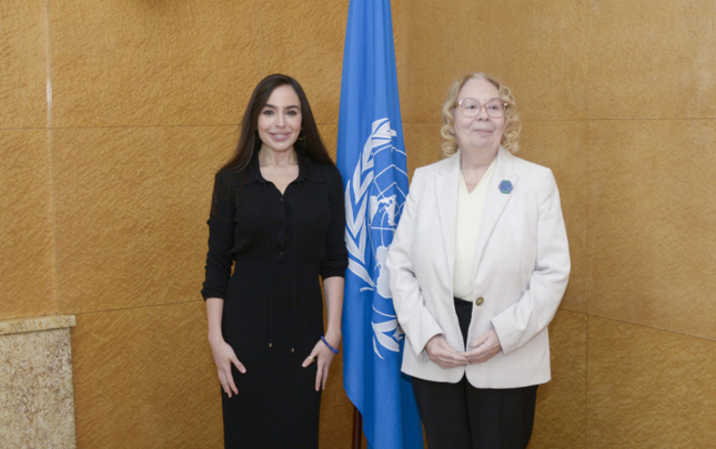 leyla-eliyeva-bmt-nin-cenevredeki-ofisinin-bas-direktoru-ile-gorusdu