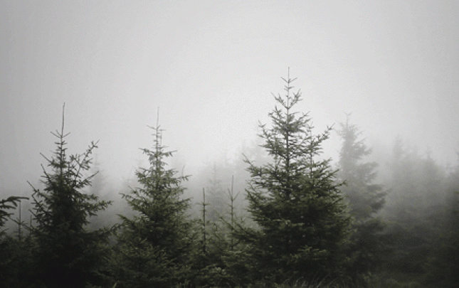 fhn-hava-ile-bagli-ehaliye-muraciet-etdi