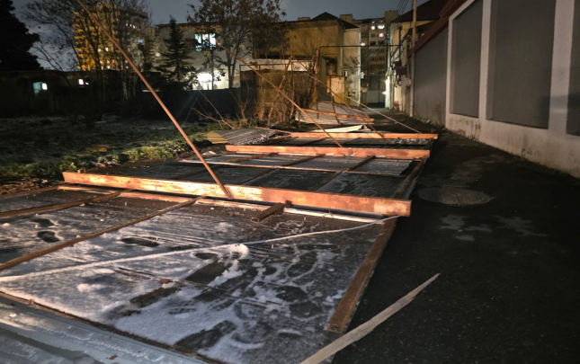 guclu-kulek-yasamalda-fesadlar-toretdi