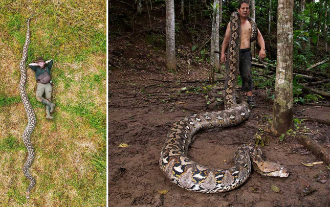 uzunluguna-gore-ginnesin-rekordlar-kitabina-dusdu