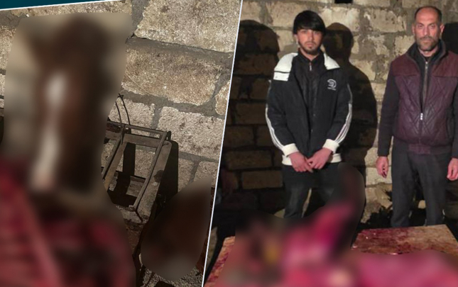 146-kq-at-etini-mal-eti-adi-ile-bakida-satacaqdilar