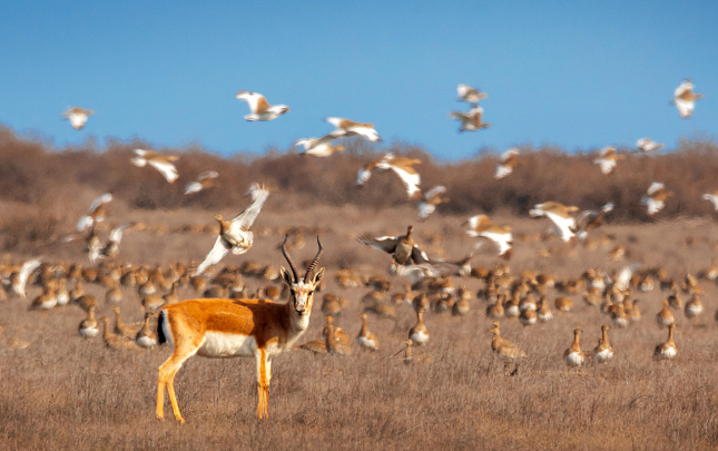 sirvan-milli-parkindan-esrarengiz
