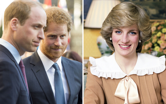 qardasinin-analari-haqqinda-cekdireceyi-senedli-filme-etiraz-etdi