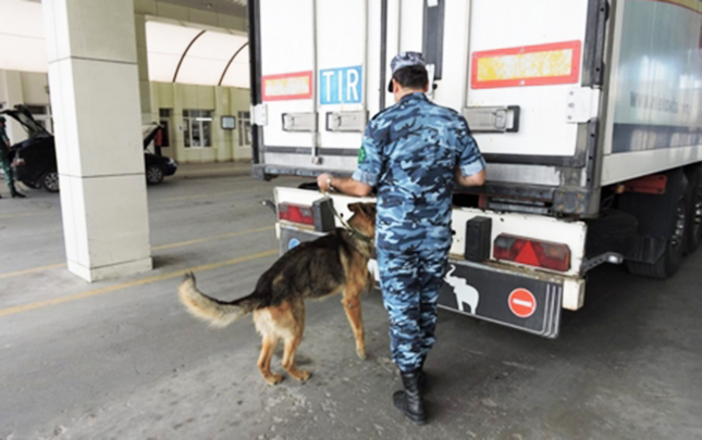 tir-dan-63-kq-narkotik-cixdi-yasli-atam-gunahsiz-yere-hebse-dusdu