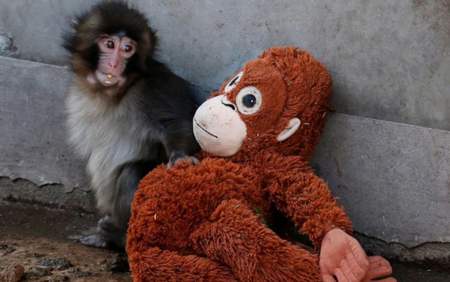 punch-satis-rekordlari-qirir