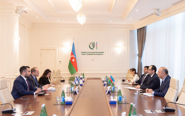 mecnun-memmedov-sefirle-gorusdu