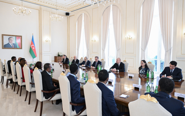 prezident-efiopiyanin-bas-naziri-ile-genis-terkibde-gorusdu