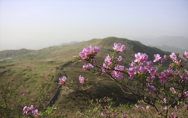 martda-hava-nece-olacaq