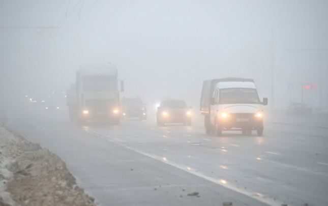 suruculerin-nezerine