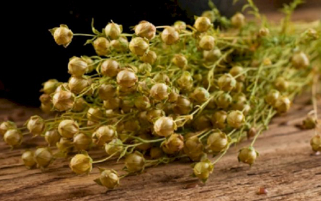 uzerlikle-bagli-daha-bir-qurumdan