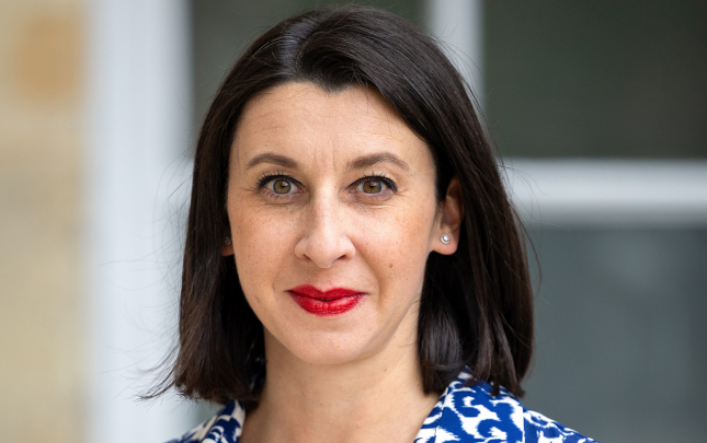 fransa-sefirinden-naxcivana-hucumla-bagli