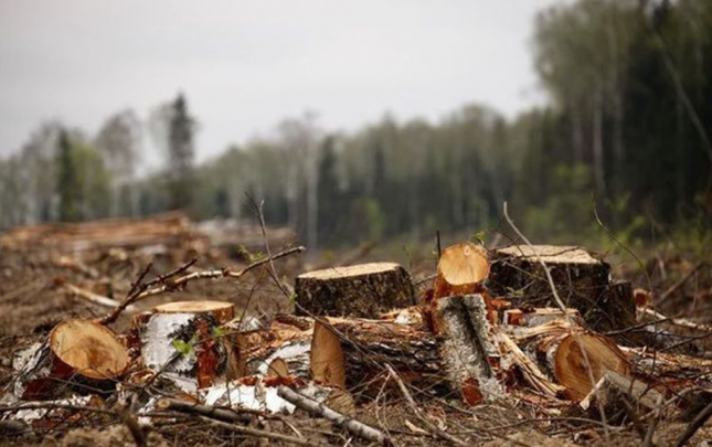 tebiete-1-heftede-63-minlik-ziyan-vurdular