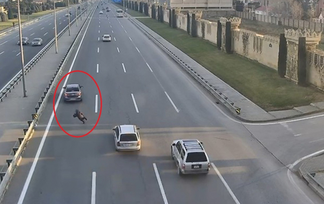 masin-yola-qacan-qadini-vurdu