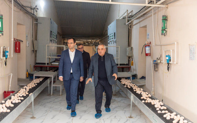 nazir-qusculuq-muessiselerinin-fealiyyeti-ile-tanis-oldu