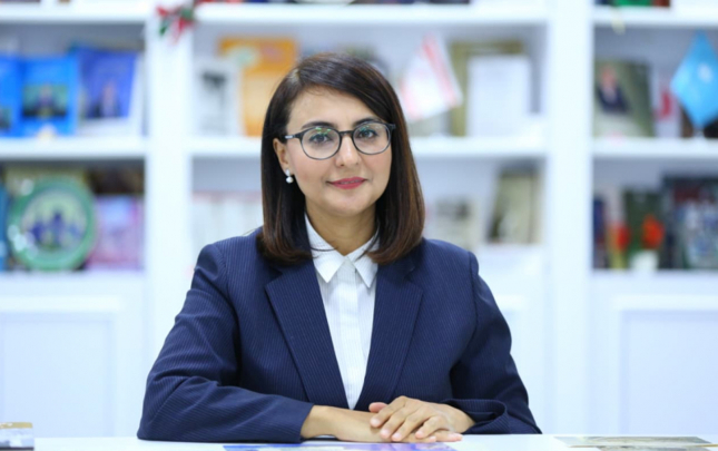 layihede-qarabag-ve-naxcivan-gosterilse-de-tedbirler-sumqayitda-kecirilecekmis