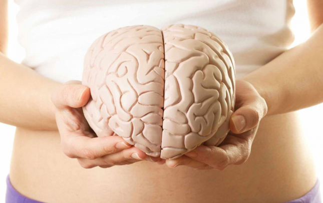 dondurulmus-beyin-yeniden-oyandi