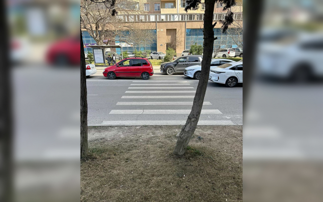 piyada-zolagindan-sonra-seki-yoxdur-agacliga-giririk