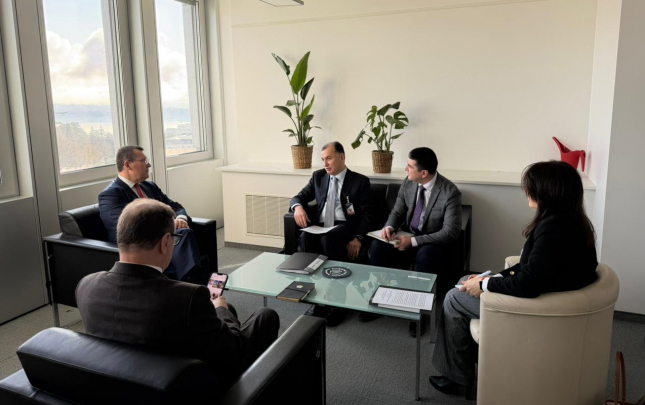 ahik-numayendeleri-cenevrede-bet-resmileri-ile-gorusdu