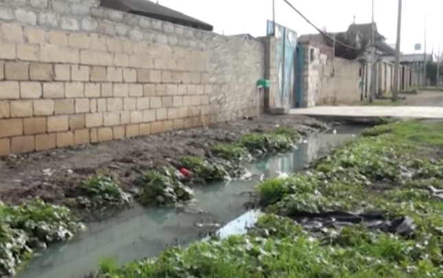 hemin-ailenin-basqa-bir-ovladi-da-o-arxa-dusub-olubmus