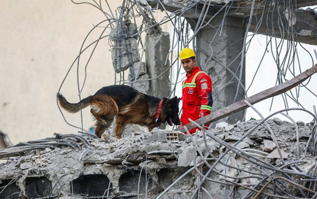 israil-irana-7000-den-cox-zerbe-endirib