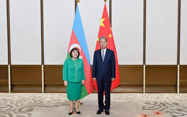 sahibe-qafarova-ile-gorusde-azerbaycana-tesekkur-etdi