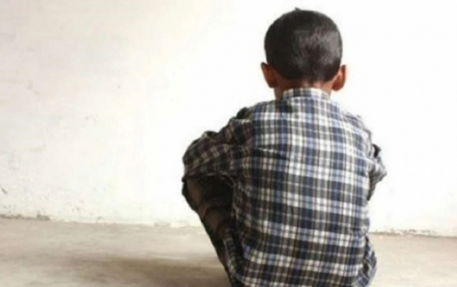 dayinin-bacisi-ogluna-qarsi-iyrenc-cinayeti