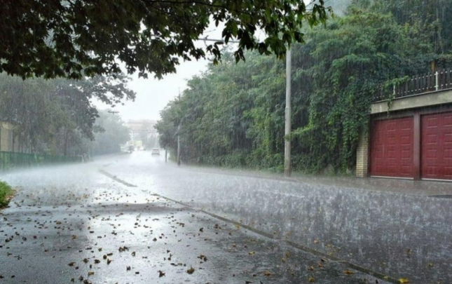 suruculerin-nezerine