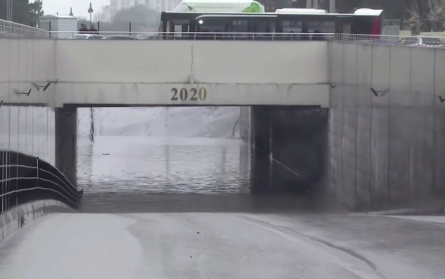 sabuncu-kecidi-baglandi