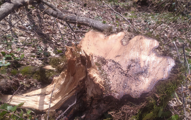 tebiete-6-min-manata-yaxin-ziyan-vuruldu