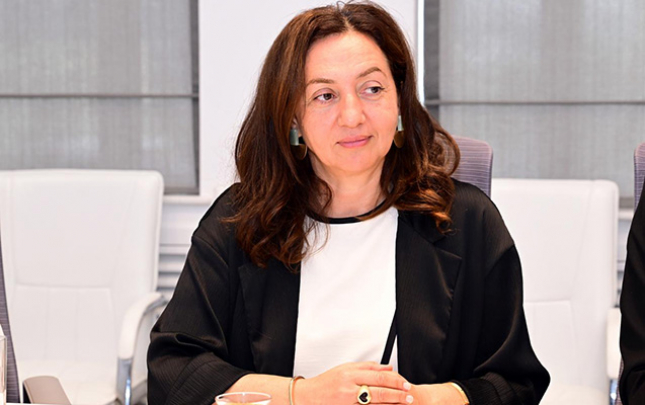 aynur-kerimova-bu-sektora-mudir-teyin-edildi