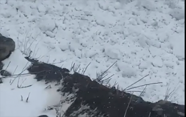 toganalikelbeceristisu-yolunda-qar-ucqunu