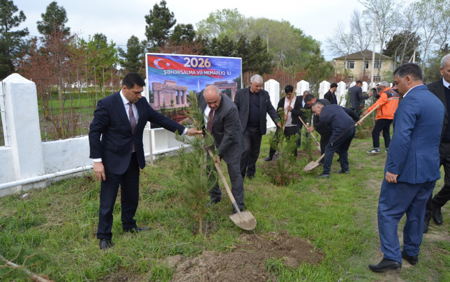 zerdabda-sehersalma-ve-memarliq-ili-ile-bagli-agacekme-aksiyasi