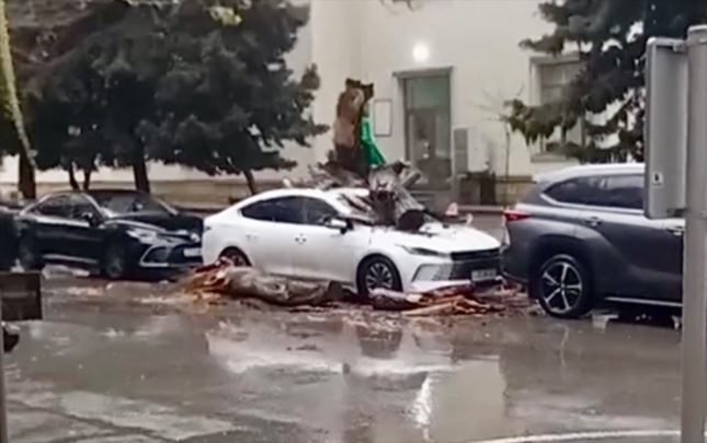 neheng-agac-bydnin-ustune-asdi