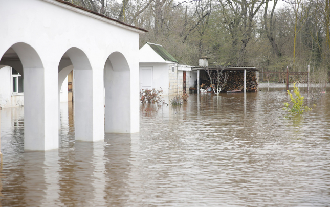 leysan-nabranda-da-ciddi-fesadlar-yaratdi
